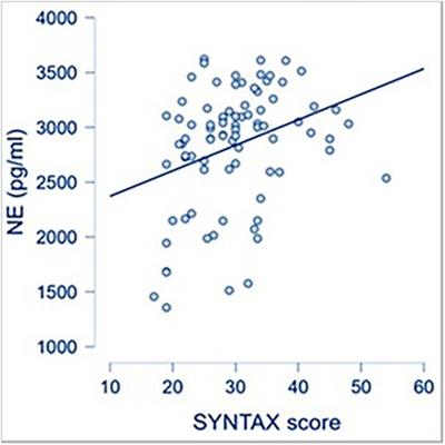 The impact of inflammatory and oxidative stress biomarkers on the sympathetic nervous system in severe coronary atherosclerosis